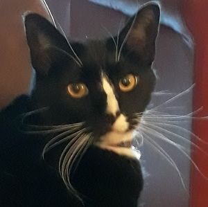 Meet your Posher, Bryn